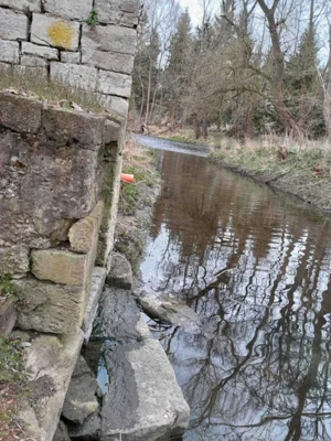 Foto des Albums: Sanierung der Stützmauer am Mühlgraben in Niederroßla