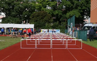 H&uuml;rden 1  (Bild vergr&ouml;&szlig;ern)