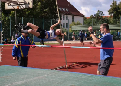 Stab 8  (Bild vergr&ouml;&szlig;ern)