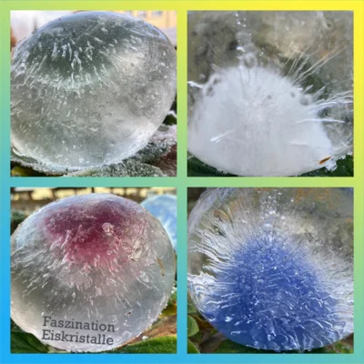 Experiment mit Luftballons und farbigem Wasser  (Bild vergr&ouml;&szlig;ern)