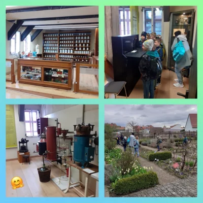 Apothekermuseum Bad Langensalza  (Bild vergr&ouml;&szlig;ern)