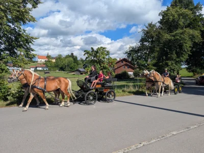 2  (Bild vergr&ouml;&szlig;ern)