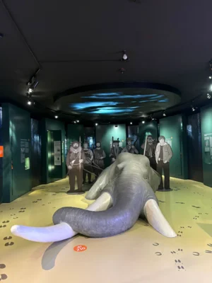 Vorschaubild der Galerie