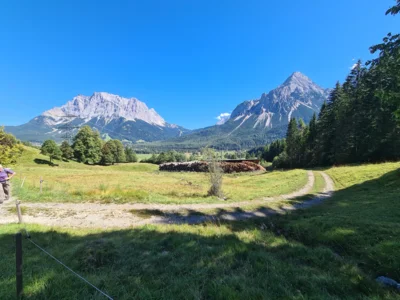 20260906 140606  (Bild vergr&ouml;&szlig;ern)