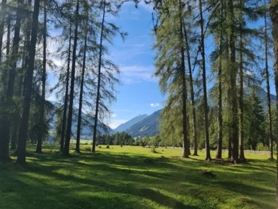 20260906 165421  (Bild vergr&ouml;&szlig;ern)
