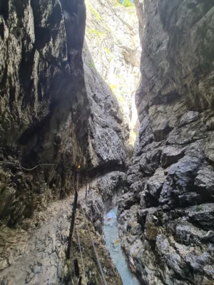 20260907 145642  (Bild vergr&ouml;&szlig;ern)