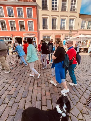 Foto des Albums: Ausflug Stader Frauenzimmer