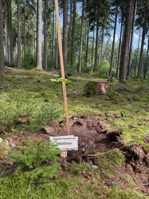 Foto des Albums: Umwelttag - Klasse 4 - Gewinn Globusausschreibung