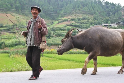 Foto des Albums: Hans Assmus