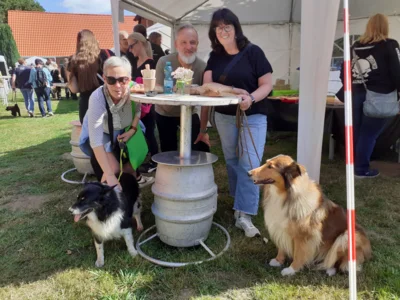 Foto des Albums: Hoffest 2026