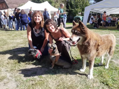 Foto des Albums: Hoffest 2026