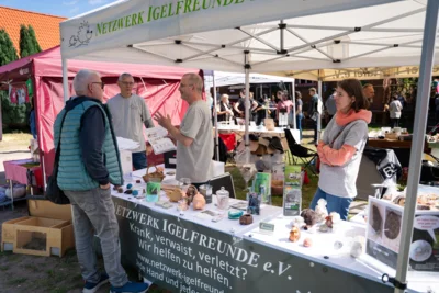 Foto des Albums: Hoffest 2026