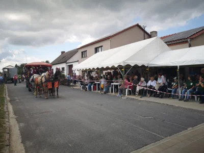 Foto des Albums: Brandenburger Dorf- und Erntefest 2026: Eröffnung