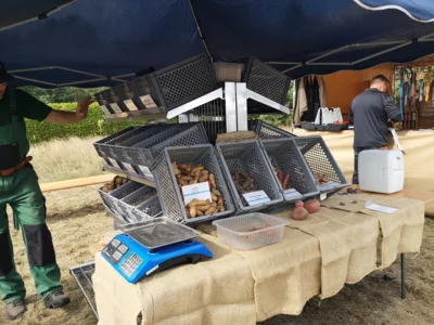 Foto des Albums: Brandenburger Dorf- und Erntefest 2026: Markt und Aussteller