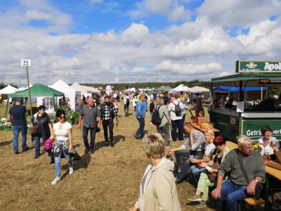 Foto des Albums: Brandenburger Dorf- und Erntefest 2026: Markt und Aussteller