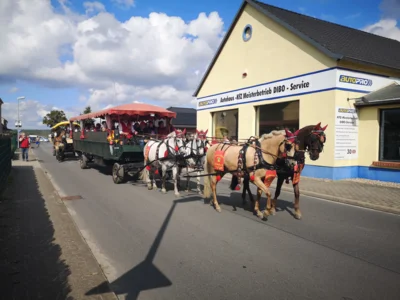 Foto des Albums: Brandenburger Dorf- und Erntefest 2026: der Umzug