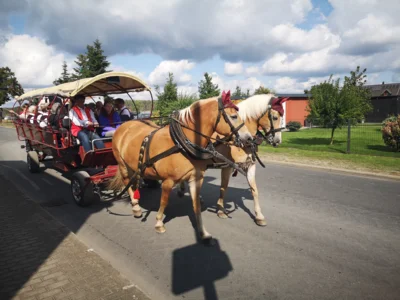 Foto des Albums: Brandenburger Dorf- und Erntefest 2026: der Umzug
