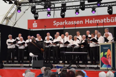CG Altenm&uuml;nster SB & Ingersheim SB  (Bild vergr&ouml;&szlig;ern)