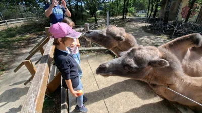 Foto des Albums: Gemeindeausflug