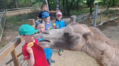 Foto des Albums: Gemeindeausflug