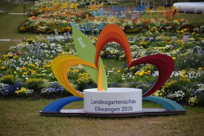 Wie sch&ouml;n ist es doch hier...  (Bild vergr&ouml;&szlig;ern)