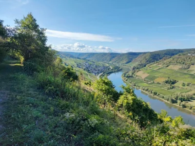 Foto des Albums: Moselsteigwanderung 2026