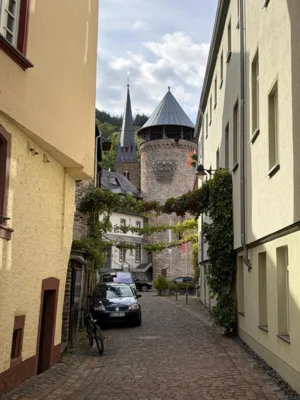 Foto des Albums: Moselsteigwanderung 2026