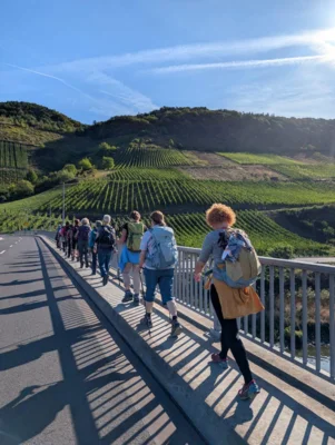 Foto des Albums: Moselsteigwanderung 2026