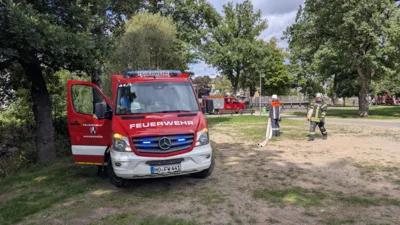 Foto des Albums: Feuerwehrfest 2026