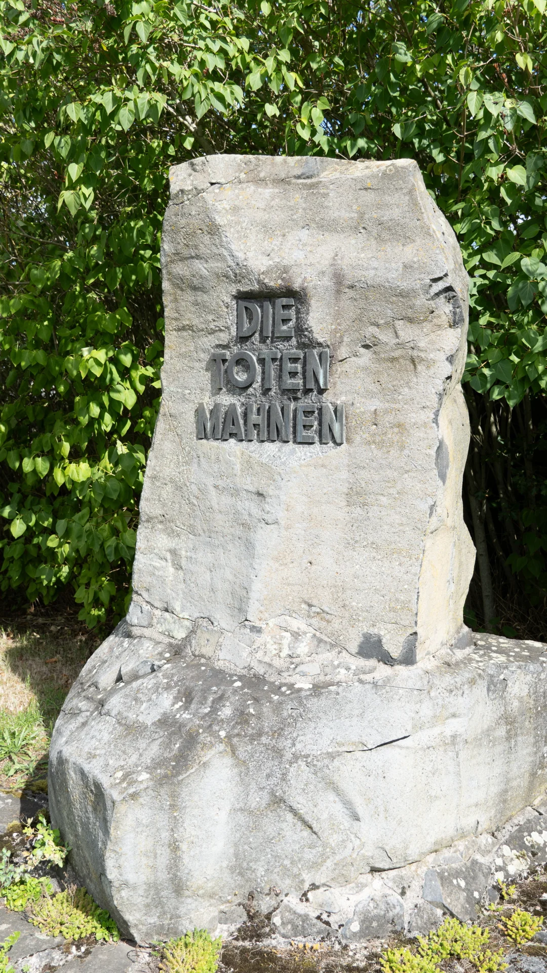 Bild der Galerie