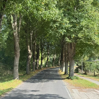Foto des Albums: Tagesfahrt 