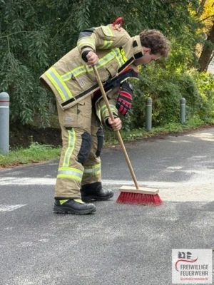 Foto des Albums: Einsatz Nr.:105/2026 H:Öl-Land