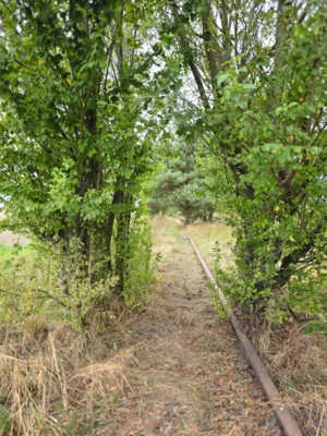 Foto des Albums: Radtour 2026