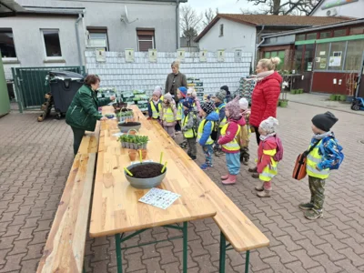 Pflanzaktion  (Bild vergr&ouml;&szlig;ern)