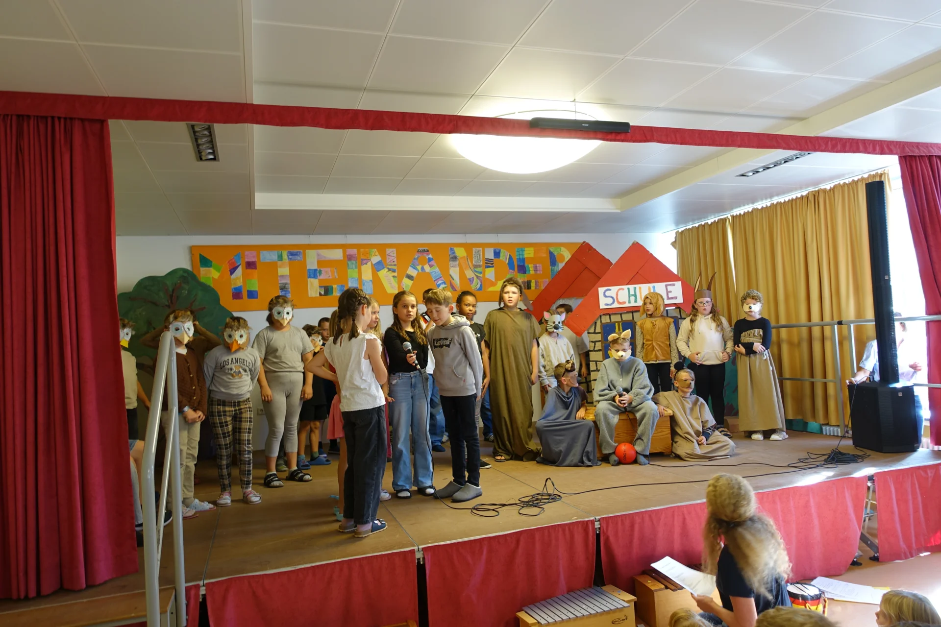 Bild der Galerie