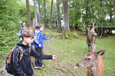 Foto des Albums: Klassenfahrt 2026