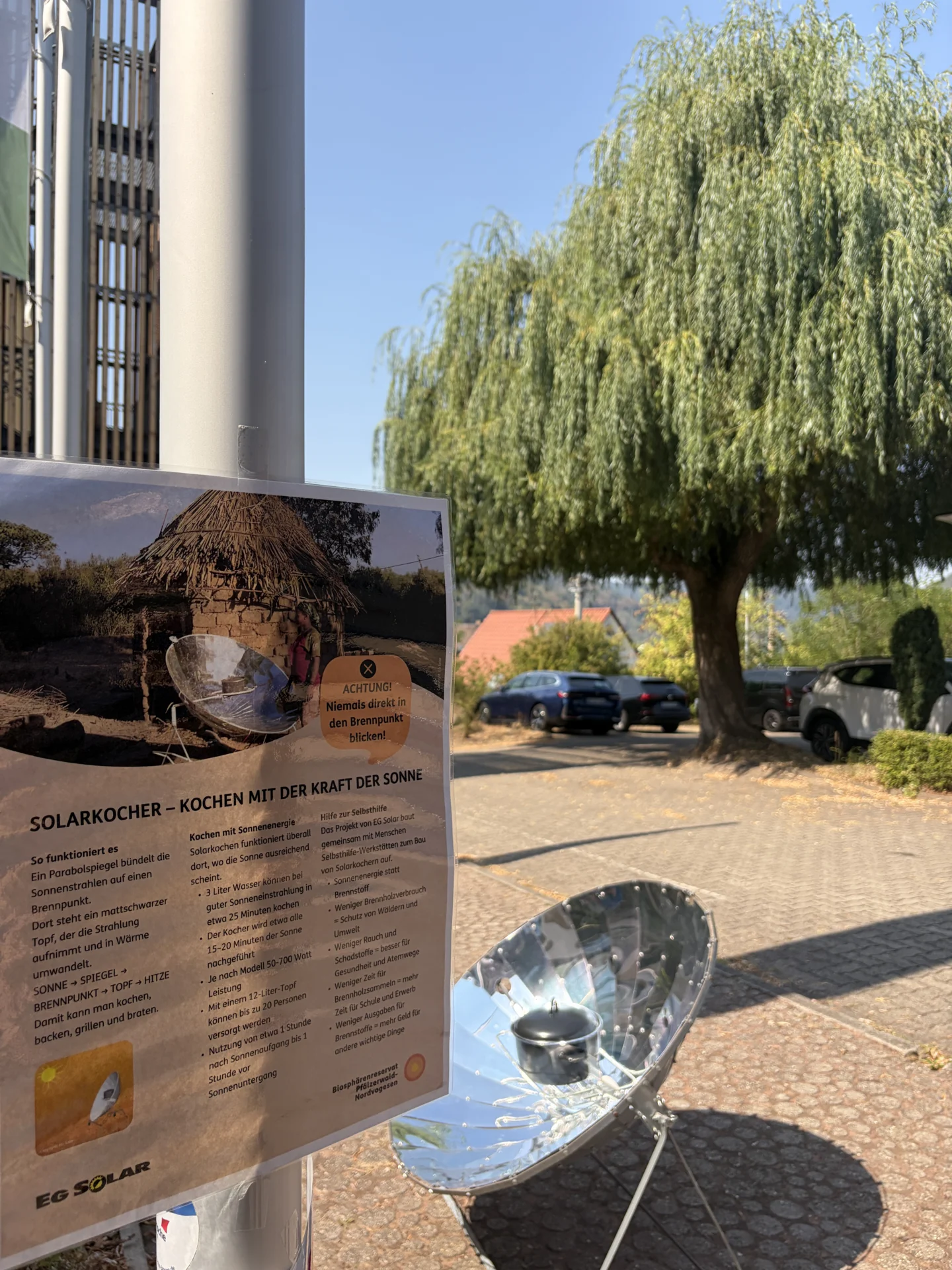 Bild der Galerie
