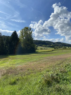 IMG 5892  (Bild vergr&ouml;&szlig;ern)