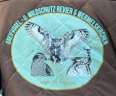 Foto des Albums: Greifvögel hautnah erleben