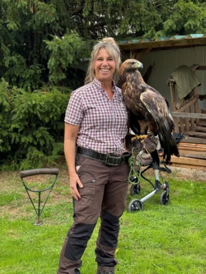 Foto des Albums: Greifvögel hautnah erleben