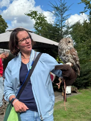 Foto des Albums: Greifvögel hautnah erleben