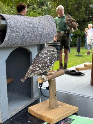 Foto des Albums: Greifvögel hautnah erleben