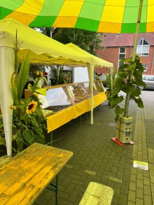 Foto des Albums: StreetArt & StreetFood Festival