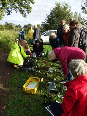 Foto des Albums: Workshop Tag- und Nachtfalterbeete anlegen