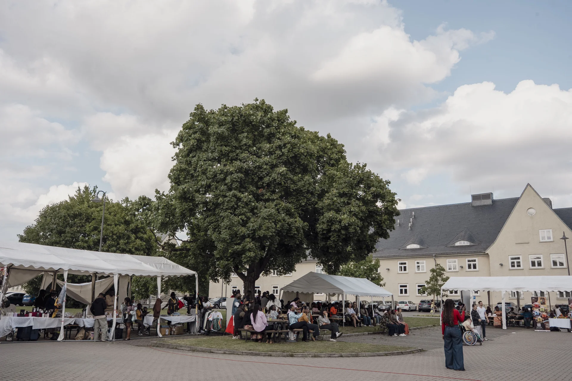 Bild der Galerie