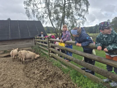 Foto des Albums: Kartoffelprojekt in Eubabrunn, Klasse 2 und 3, SJ 2026/2027