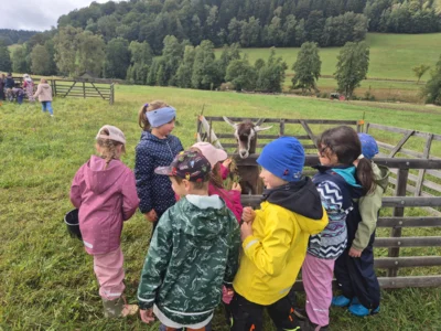Foto des Albums: Kartoffelprojekt in Eubabrunn, Klasse 2 und 3, SJ 2026/2027