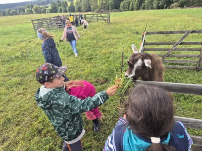 Foto des Albums: Kartoffelprojekt in Eubabrunn, Klasse 2 und 3, SJ 2026/2027