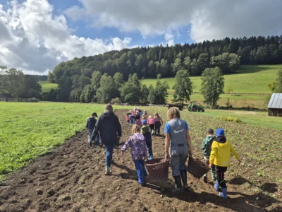 Foto des Albums: Kartoffelprojekt in Eubabrunn, Klasse 2 und 3, SJ 2026/2027