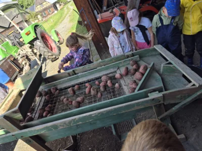 Foto des Albums: Kartoffelprojekt in Eubabrunn, Klasse 2 und 3, SJ 2026/2027